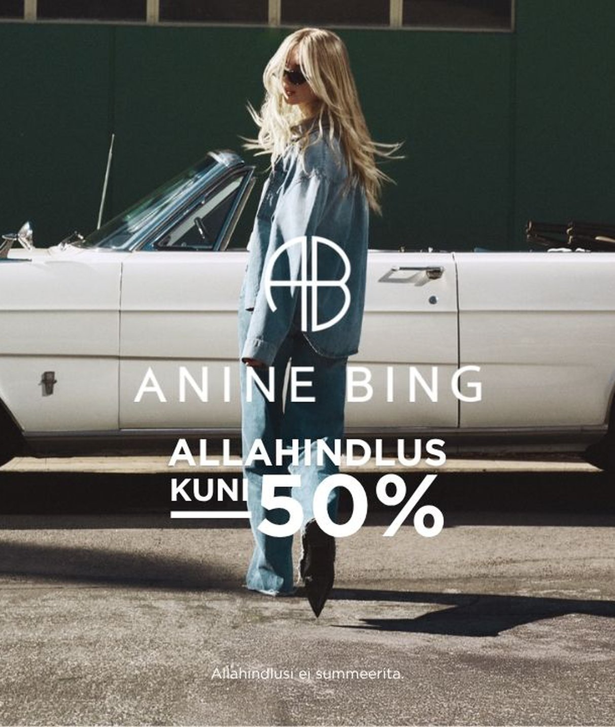 ANINE BING allahindlus