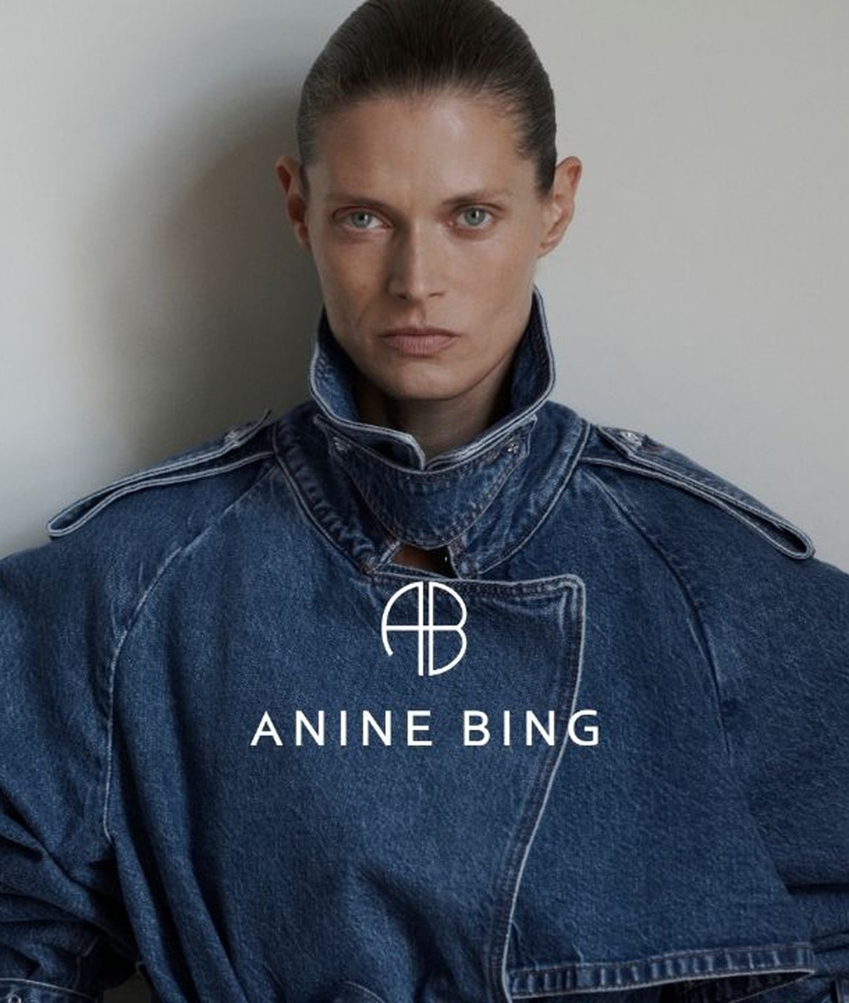 ANINE BING
