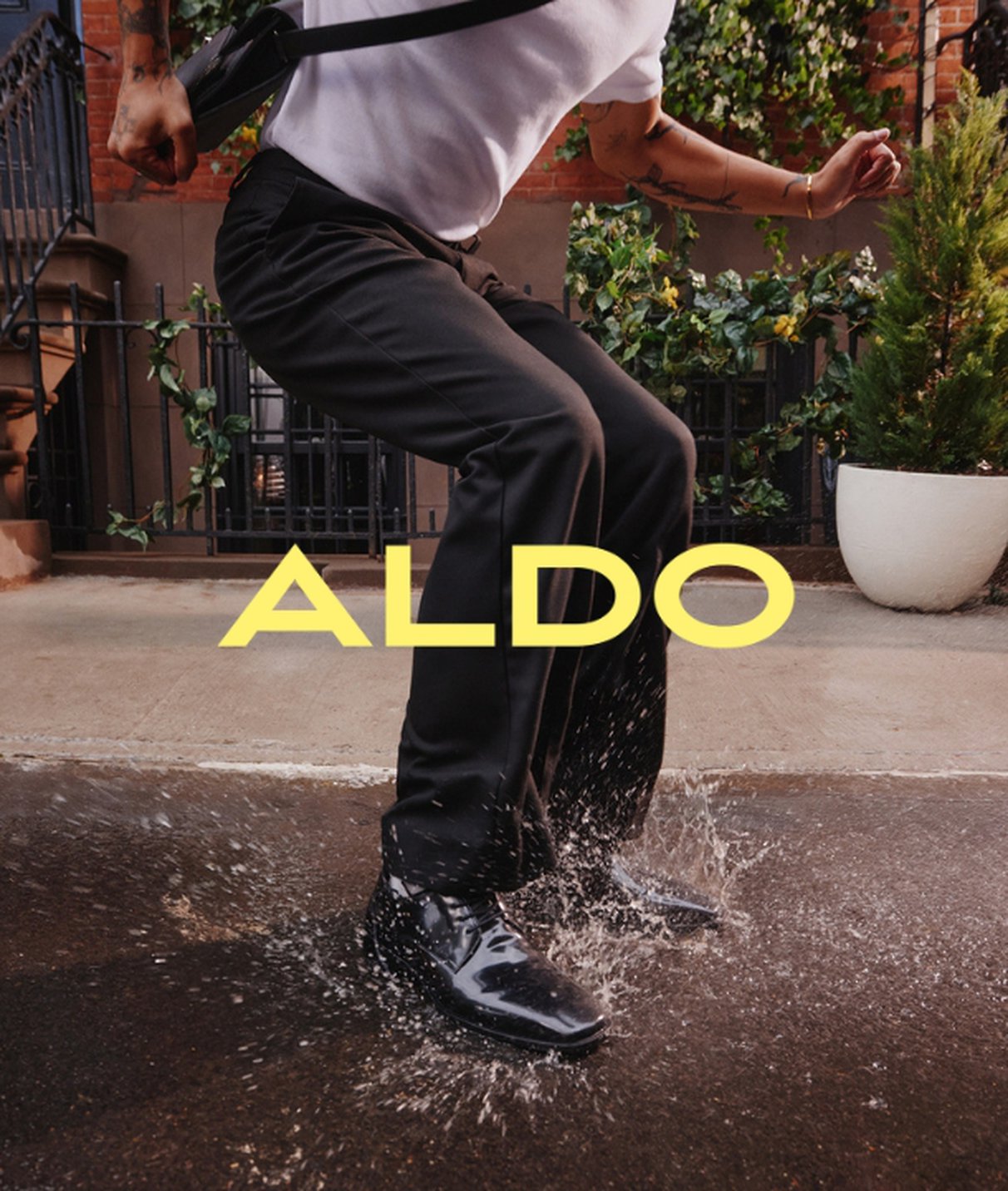 ALDO